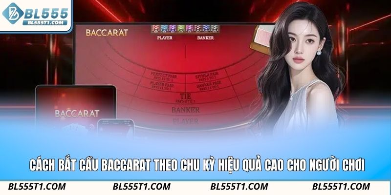 Cách bắt cầu Baccarat theo chu kỳ hiệu quả cao cho người chơi